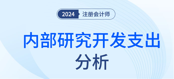 內(nèi)部研究開(kāi)發(fā)-大 內(nèi)部研究開(kāi)發(fā)-大
