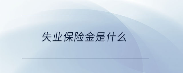 失業(yè)保險(xiǎn)金是什么 失業(yè)保險(xiǎn)金是什么