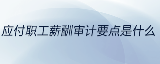 應(yīng)付職工薪酬審計要點是什么