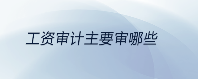 工資審計(jì)主要審哪些 工資審計(jì)主要審哪些