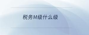 稅務(wù)m級(jí)什么級(jí)