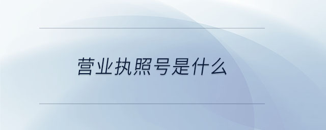 營業(yè)執(zhí)照號是什么 營業(yè)執(zhí)照號是什么