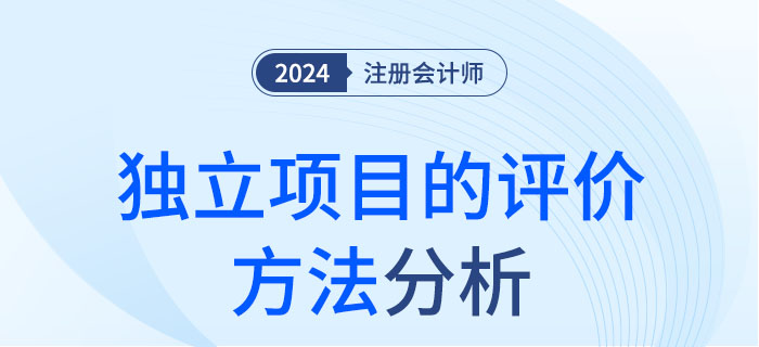 獨(dú)立項(xiàng)目的評價(jià)方法-大 獨(dú)立項(xiàng)目的評價(jià)方法-大