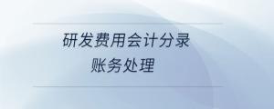 研發(fā)費用會計分錄賬務(wù)處理