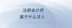 注冊(cè)會(huì)計(jì)師屬于什么法人
