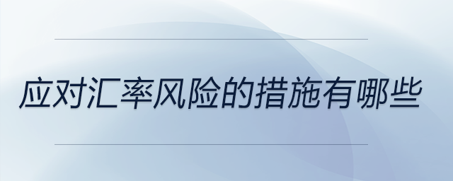 應對匯率風險的措施有哪些