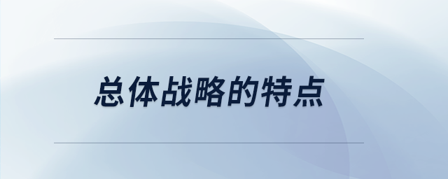 總體戰(zhàn)略的特點 總體戰(zhàn)略的特點