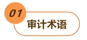 01審計(jì)術(shù)語(yǔ)