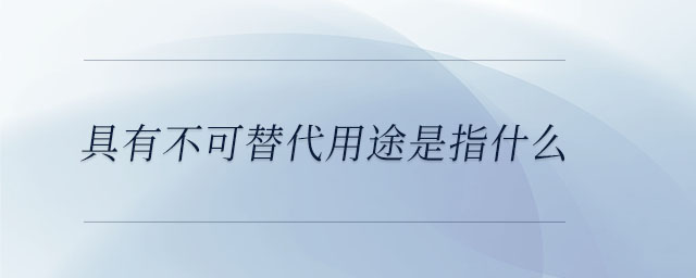 具有不可替代用途是指什么 具有不可替代用途是指什么