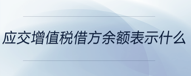 應(yīng)交增值稅借方余額表示什么