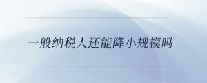 一般納稅人還能降小規(guī)模嗎