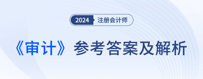 審計(jì)-大 審計(jì)-大