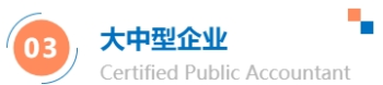 大中型企業(yè)