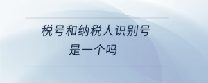 稅號(hào)和納稅人識(shí)別號(hào)是一個(gè)嗎