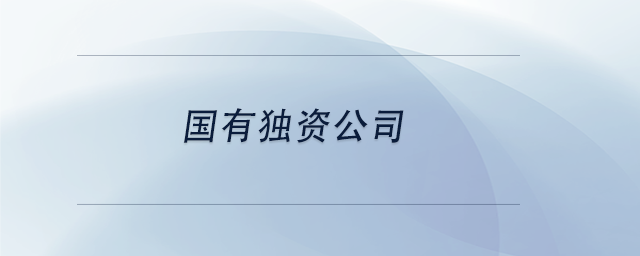中級(jí)會(huì)計(jì)國(guó)有獨(dú)資公司 中級(jí)會(huì)計(jì)國(guó)有獨(dú)資公司