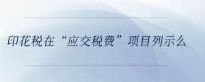 印花稅在“應(yīng)交稅費”項目列示么