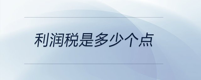 利潤稅是多少個點 利潤稅是多少個點