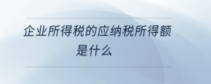 企業(yè)所得稅的應納稅所得額是什么