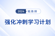 2024年稅務(wù)師《稅法一》強(qiáng)化沖刺階段學(xué)習(xí)計(jì)劃