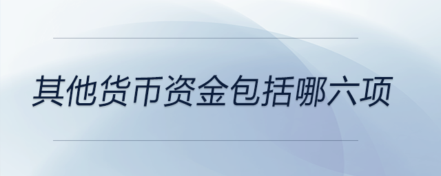 其他貨幣資金包括哪六項 其他貨幣資金包括哪六項