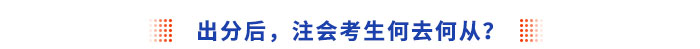 注會(huì)出分后，考生何去何從？