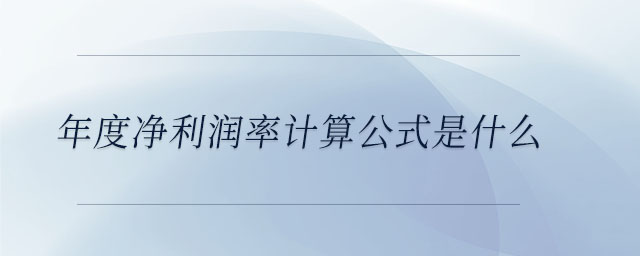 年度凈利潤率計算公式是什么