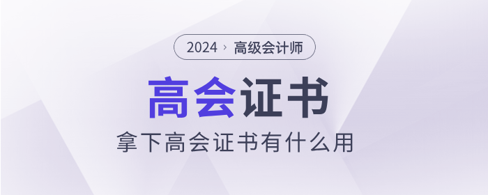 高級(jí)會(huì)計(jì)證書(shū)