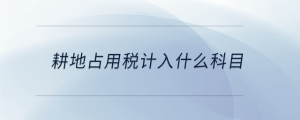 耕地占用稅計入什么科目