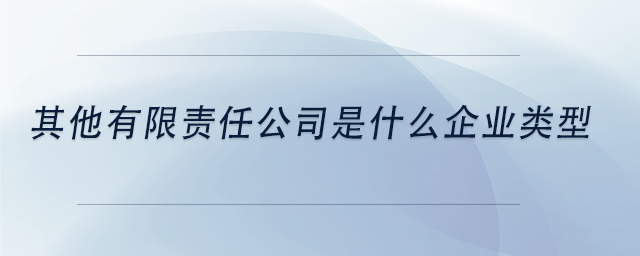 中級會計其他有限責任公司是什么企業(yè)類型 中級會計其他有限責任公司是什么企業(yè)類型
