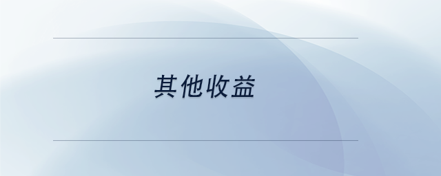 中級會計其他收益