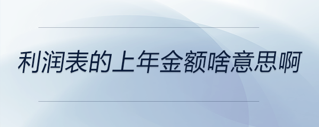 利潤表的上年金額啥意思啊 利潤表的上年金額啥意思啊