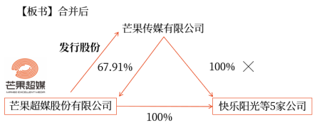 企業(yè)合并形成的長(zhǎng)期股權(quán)投資 企業(yè)合并形成的長(zhǎng)期股權(quán)投資