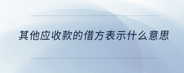 其他應(yīng)收款的借方表示什么意思
