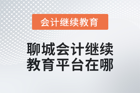 2024年聊城會(huì)計(jì)人員繼續(xù)教育平臺(tái)在哪？