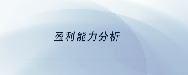 中級會計(jì)盈利能力分析