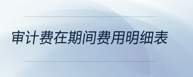 審計費在期間費用明細表 審計費在期間費用明細表