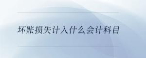 壞賬損失計入什么會計科目