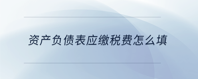 資產(chǎn)負(fù)債表應(yīng)繳稅費(fèi)怎么填