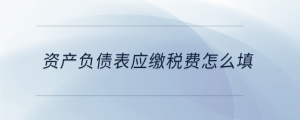 資產(chǎn)負債表應(yīng)繳稅費怎么填
