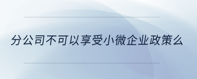 分公司不可以享受小微企業(yè)政策么 分公司不可以享受小微企業(yè)政策么