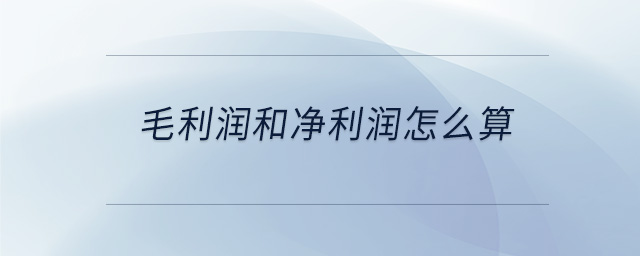 毛利潤和凈利潤怎么算