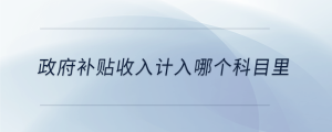 政府補貼收入計入哪個科目里