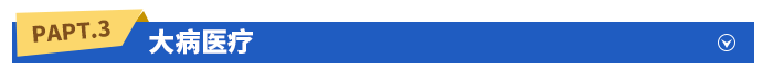 大病醫(yī)療