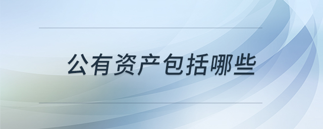 公有資產(chǎn)包括哪些 公有資產(chǎn)包括哪些