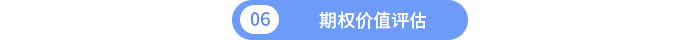 期權(quán)價(jià)值評估