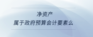 凈資產(chǎn)屬于政府預(yù)算會(huì)計(jì)要素么
