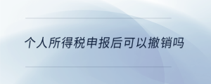 個人所得稅申報(bào)后可以撤銷嗎