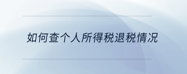 如何查個人所得稅退稅情況