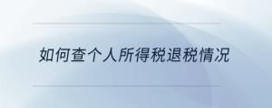 如何查個人所得稅退稅情況