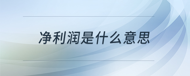 凈利潤是什么意思 凈利潤是什么意思